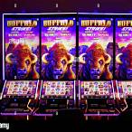 buffalo slot machine