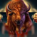 wild buffalo slot machine